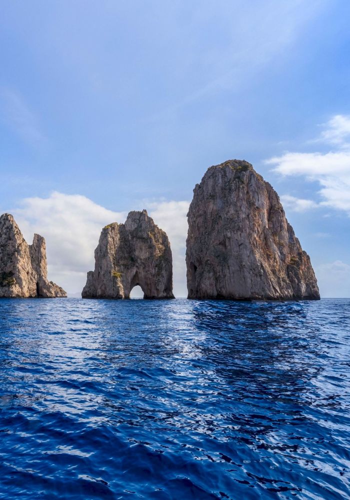 Seguici sui nostri canali social